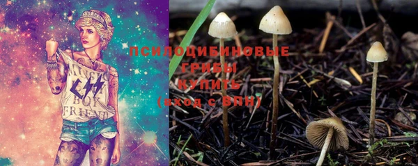 экстази Вяземский